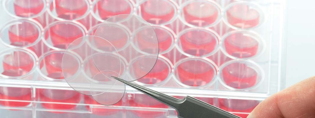 杭州宝诚生物技术有限公司-盖玻片
